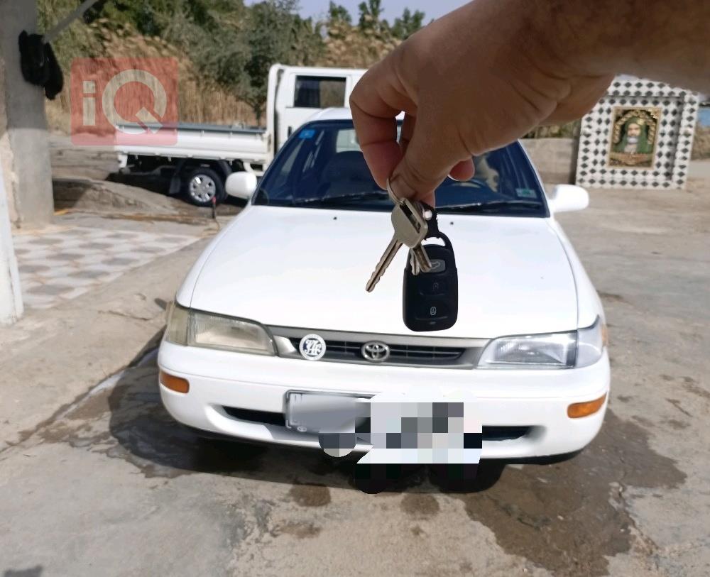 تويوتا كورولا